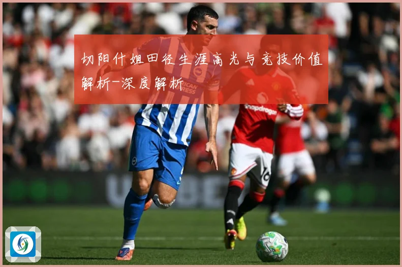 切阳什姐田径生涯高光与竞技价值解析-深度解析